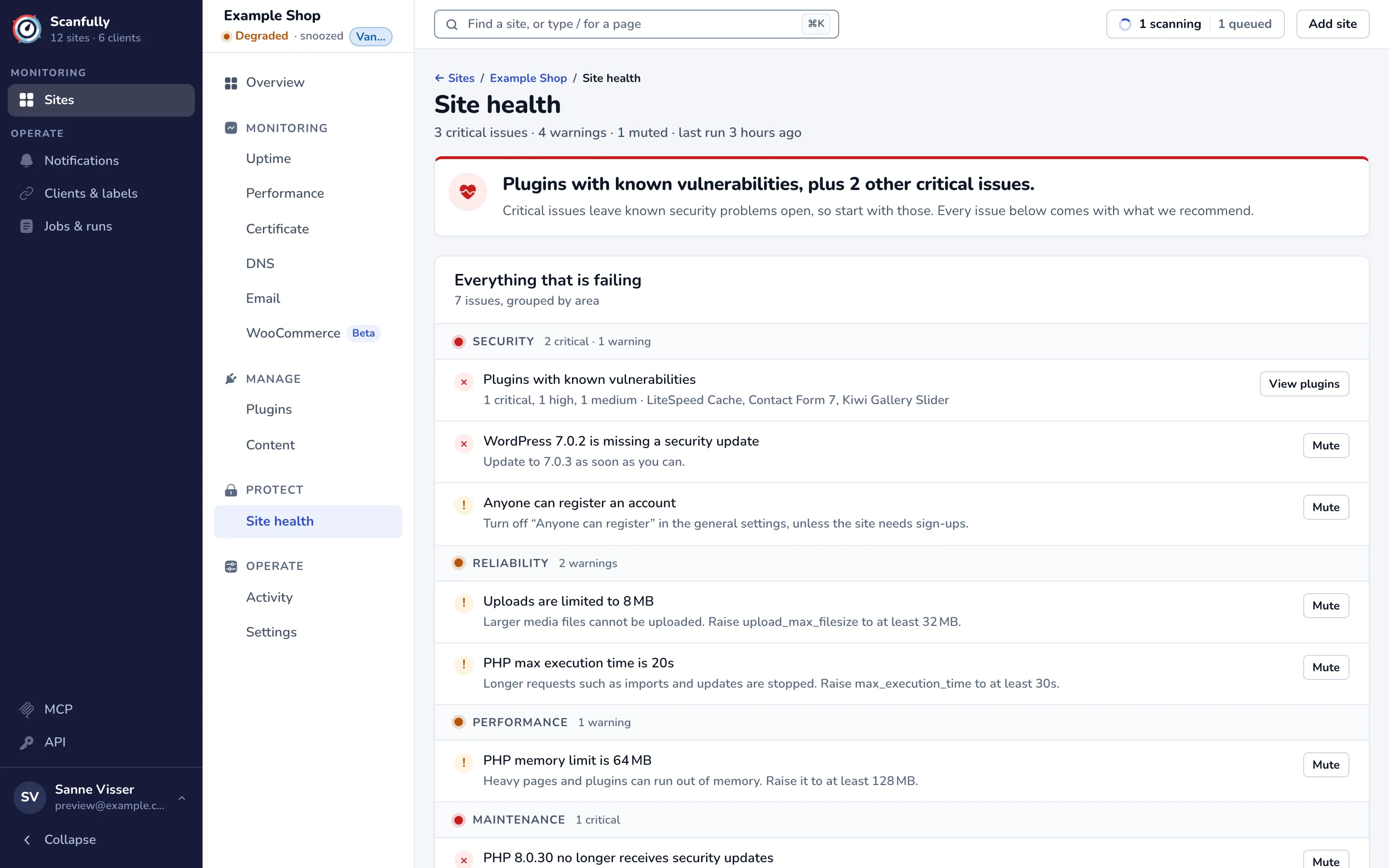 The Site health screen with the headline and the list of failing issues grouped by area