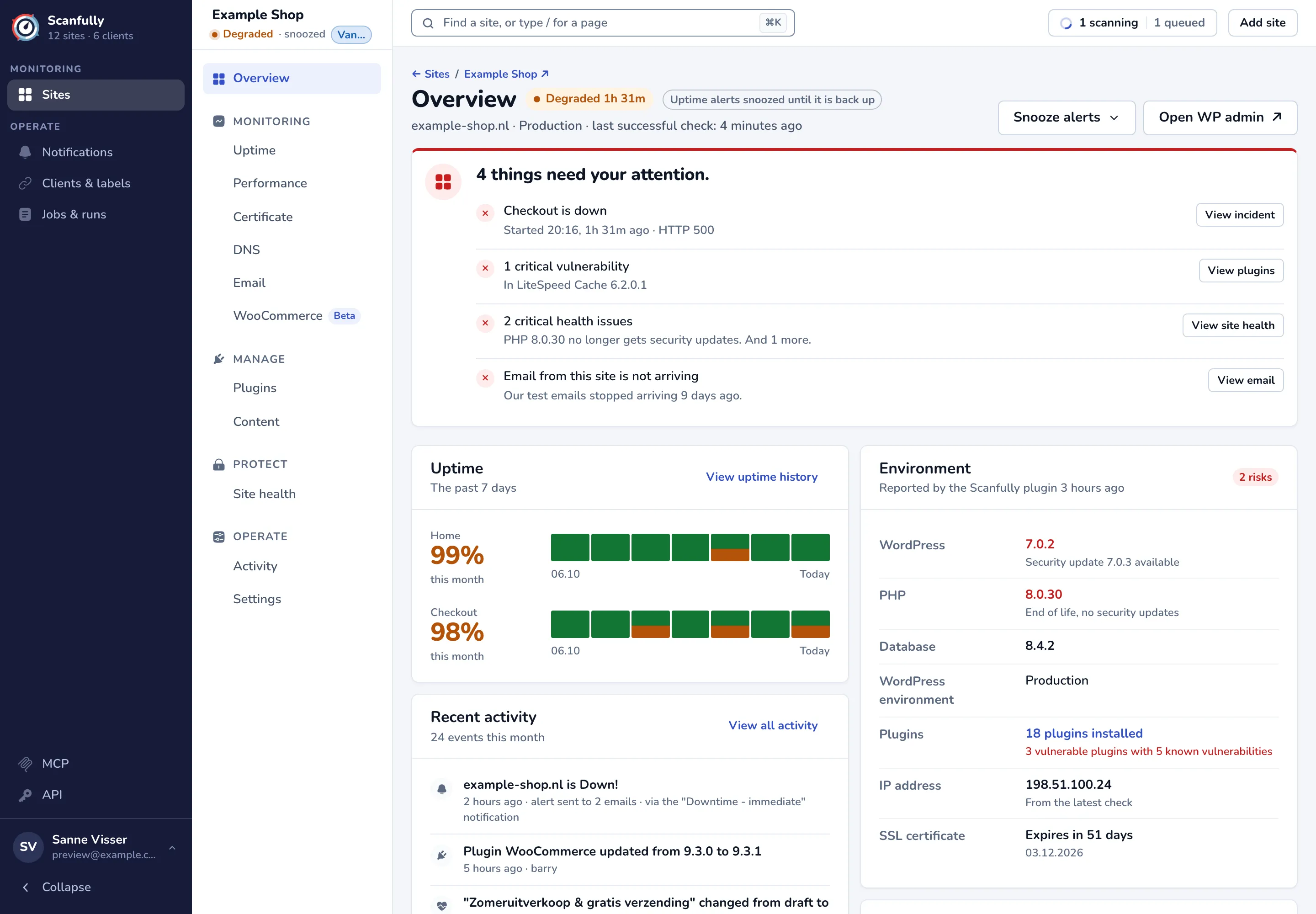 The Overview screen of the Example Shop site with four things needing attention, the uptime of two pages, recent activity and the environment