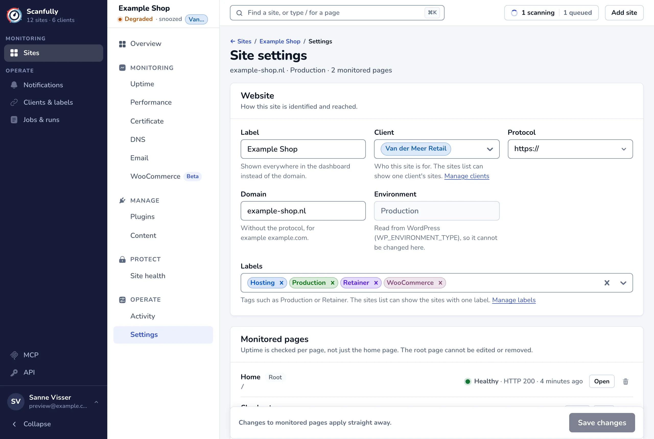 The Site settings screen with the Website panel and the start of the Monitored pages panel